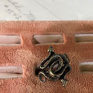 Reptile-Themed Black and Silver Ring